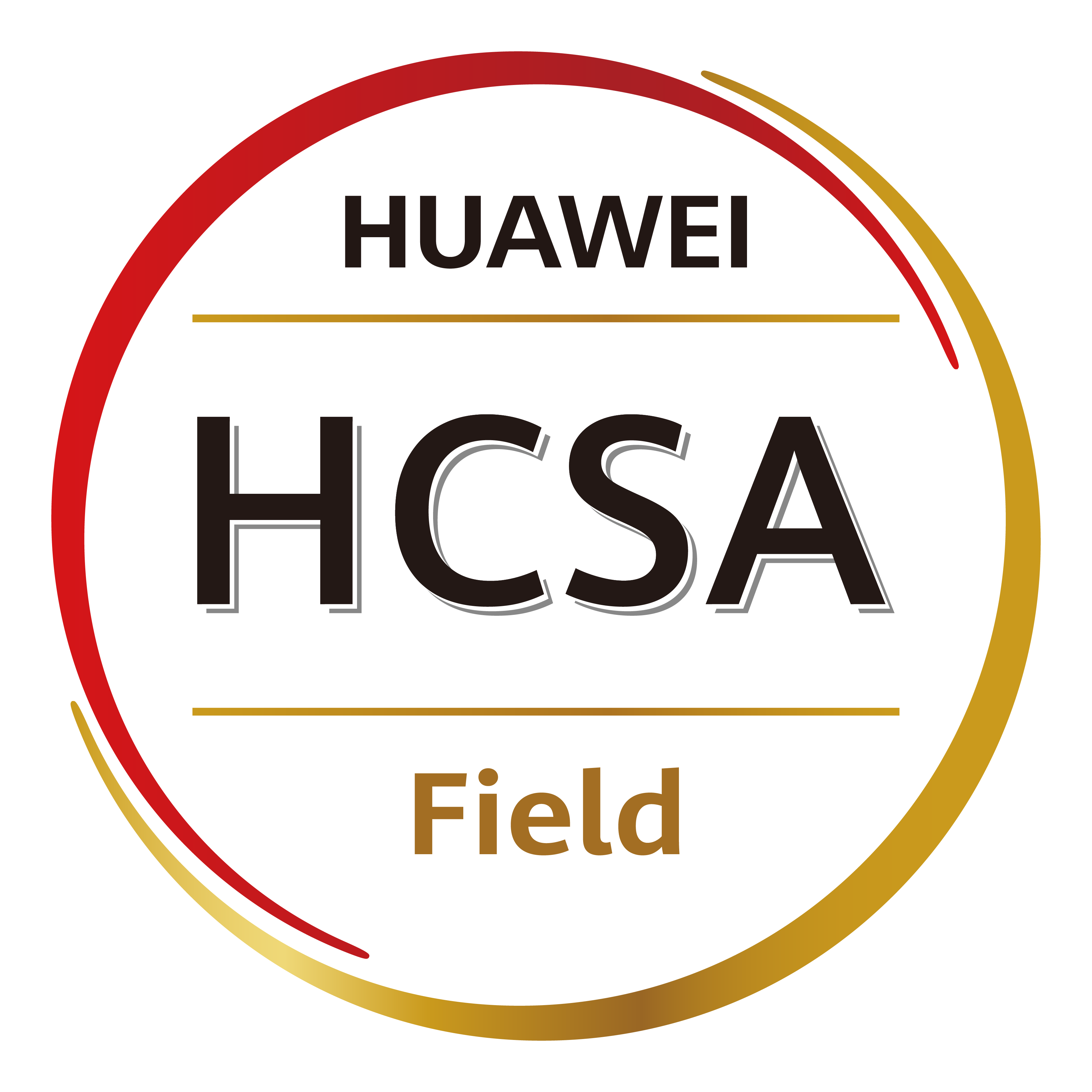 Huawei H19-219 LOGO